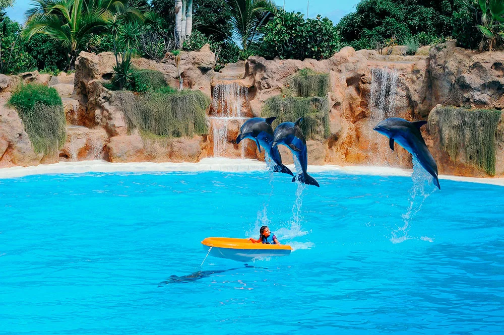 Rkrzysztof-kowalik-1jSlYM3cgPk-unsplash