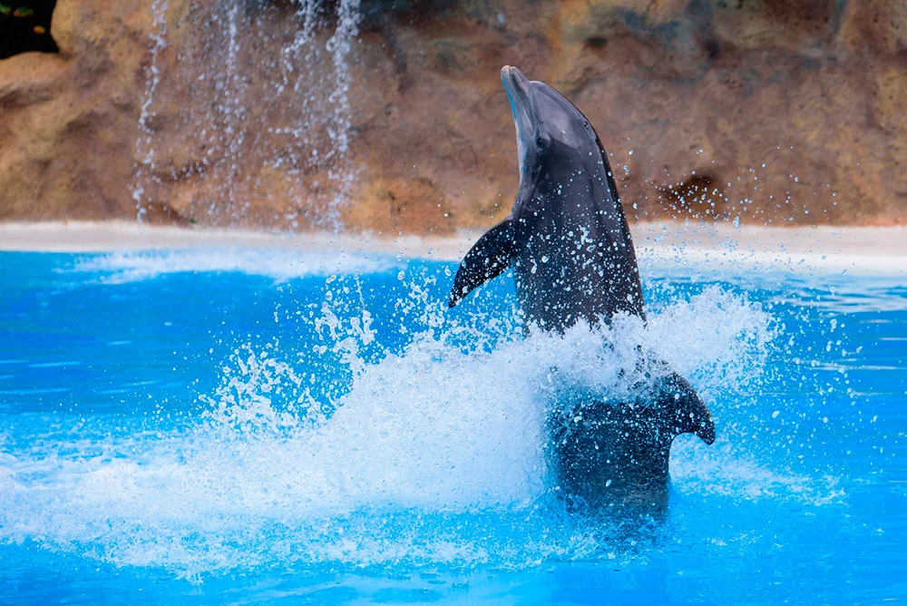 Rmichal-mrozek-vQiDTgkCtg4-unsplash